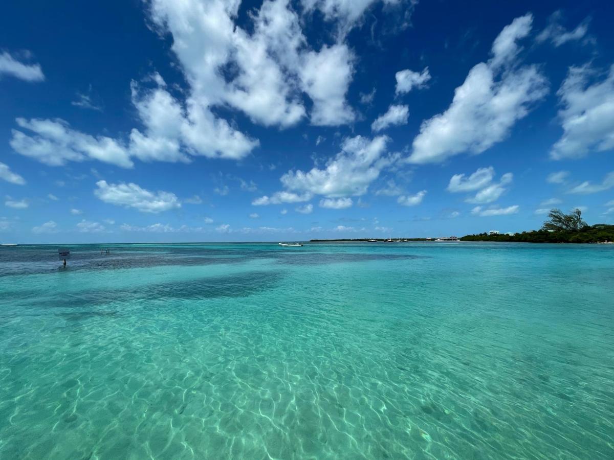 The Novelo Hotell Caye Caulker Exteriör bild