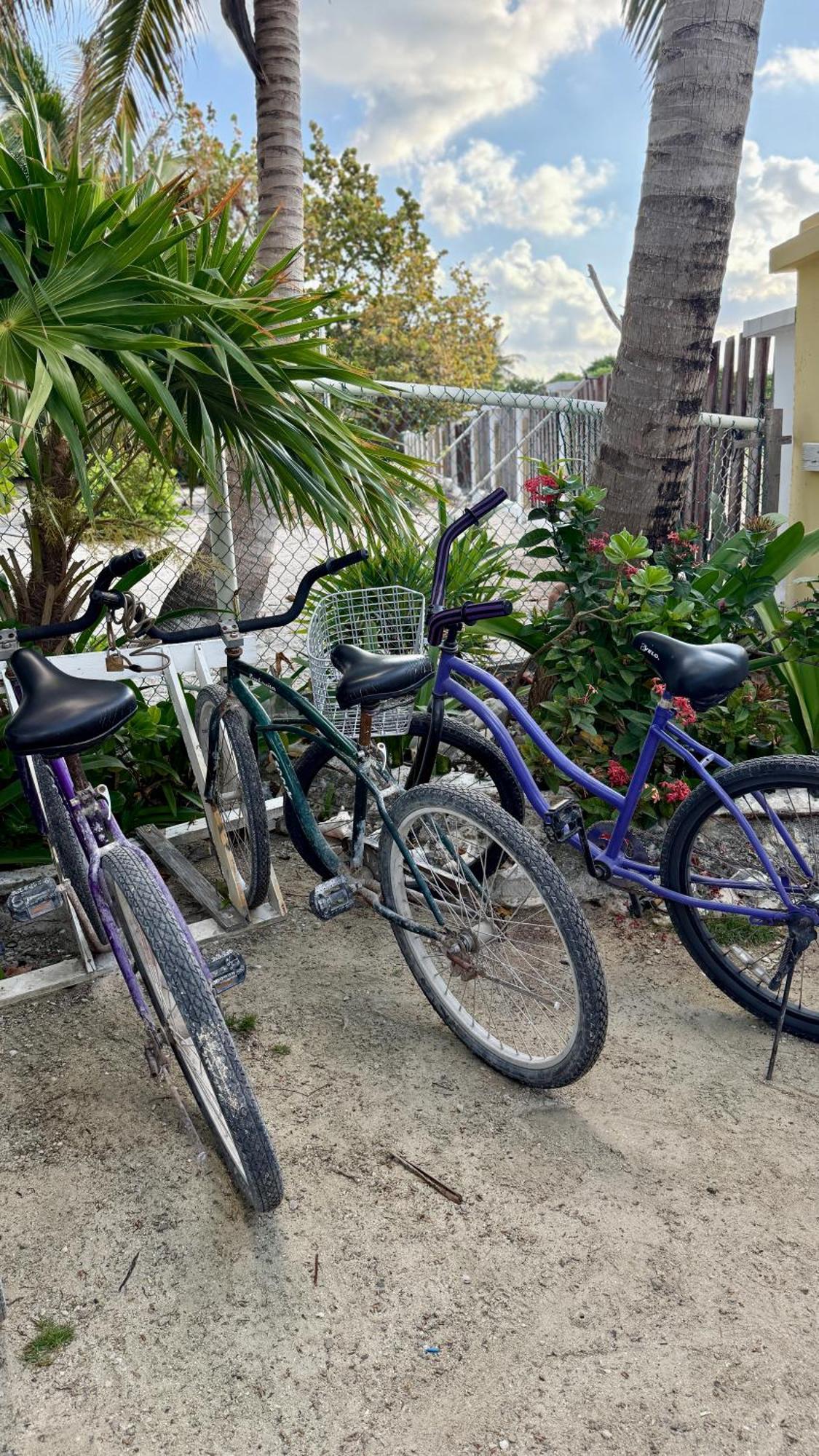 The Novelo Hotell Caye Caulker Exteriör bild